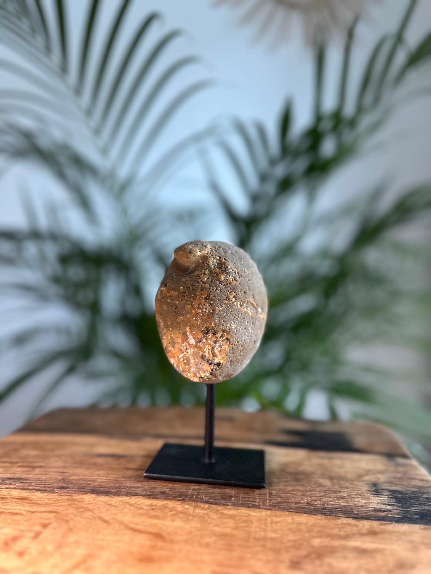 Achatgeode aus Brasilien 2