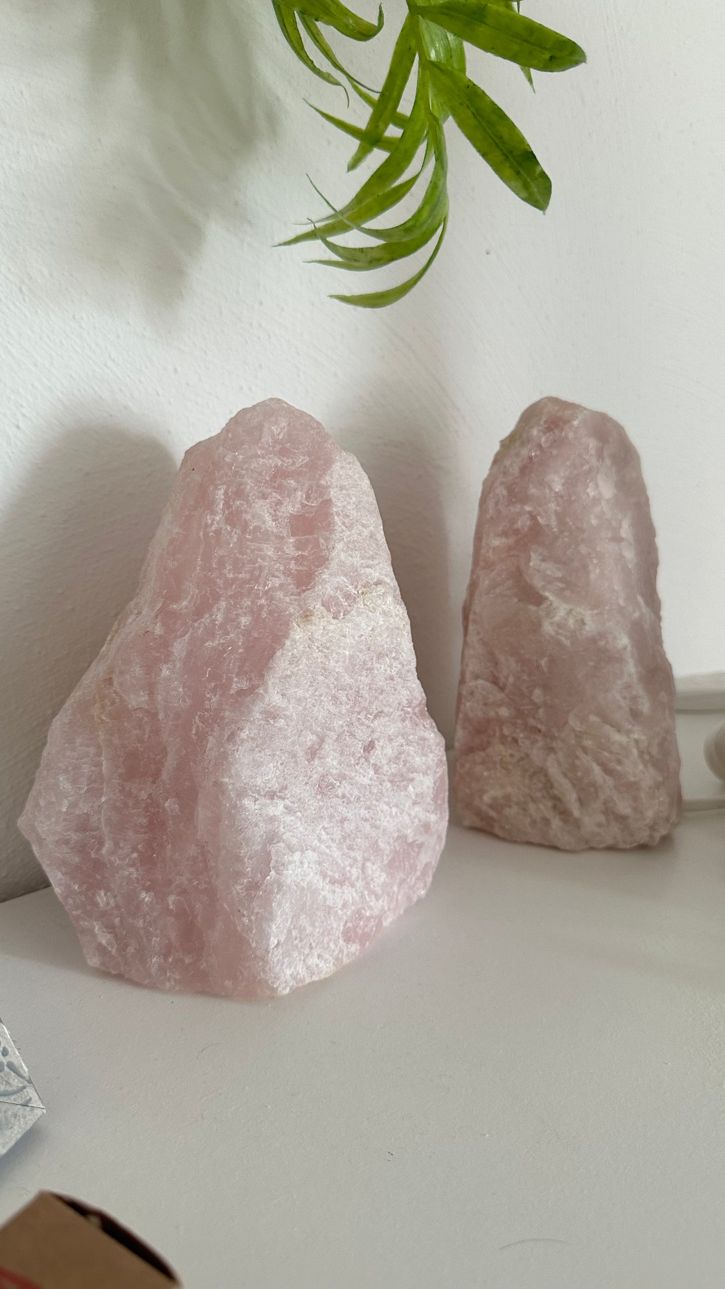 Rosenquarz Lampe