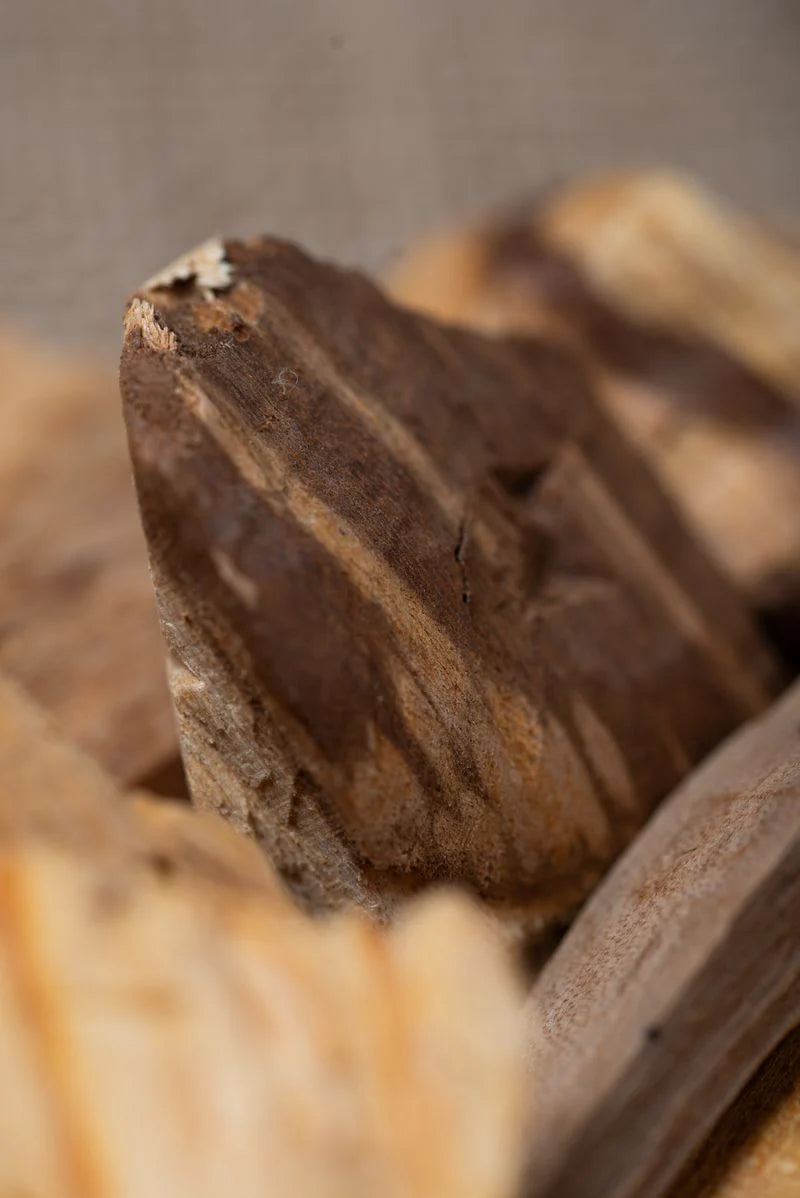 Sagrada Madre | Palo Santo | Sahumito