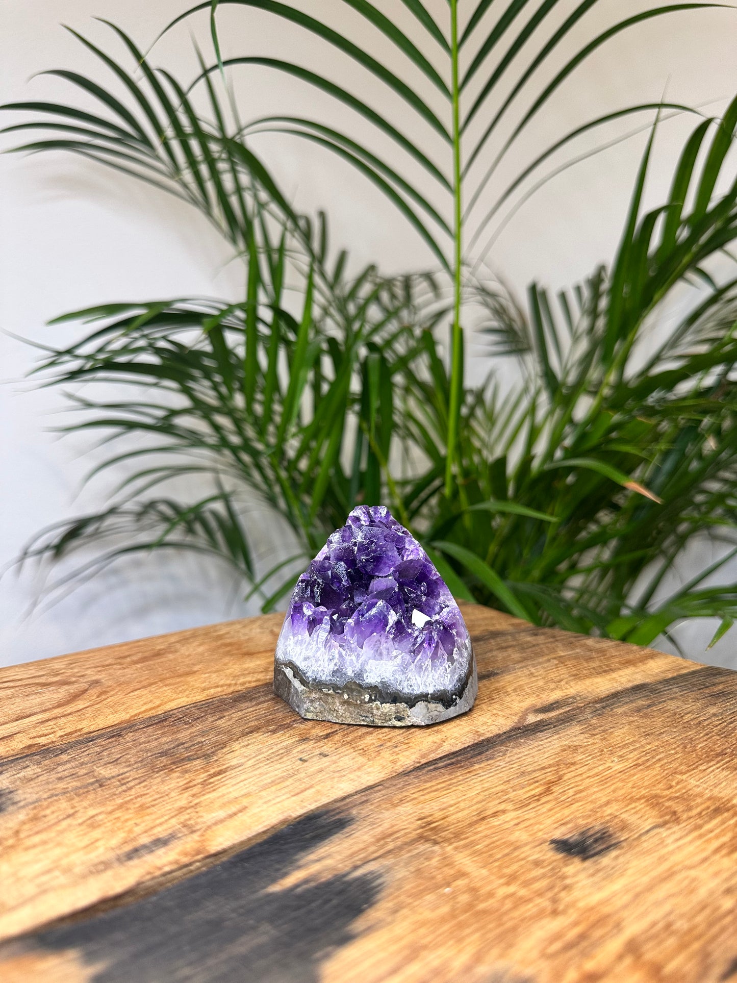Amethyst Druse Brasilien