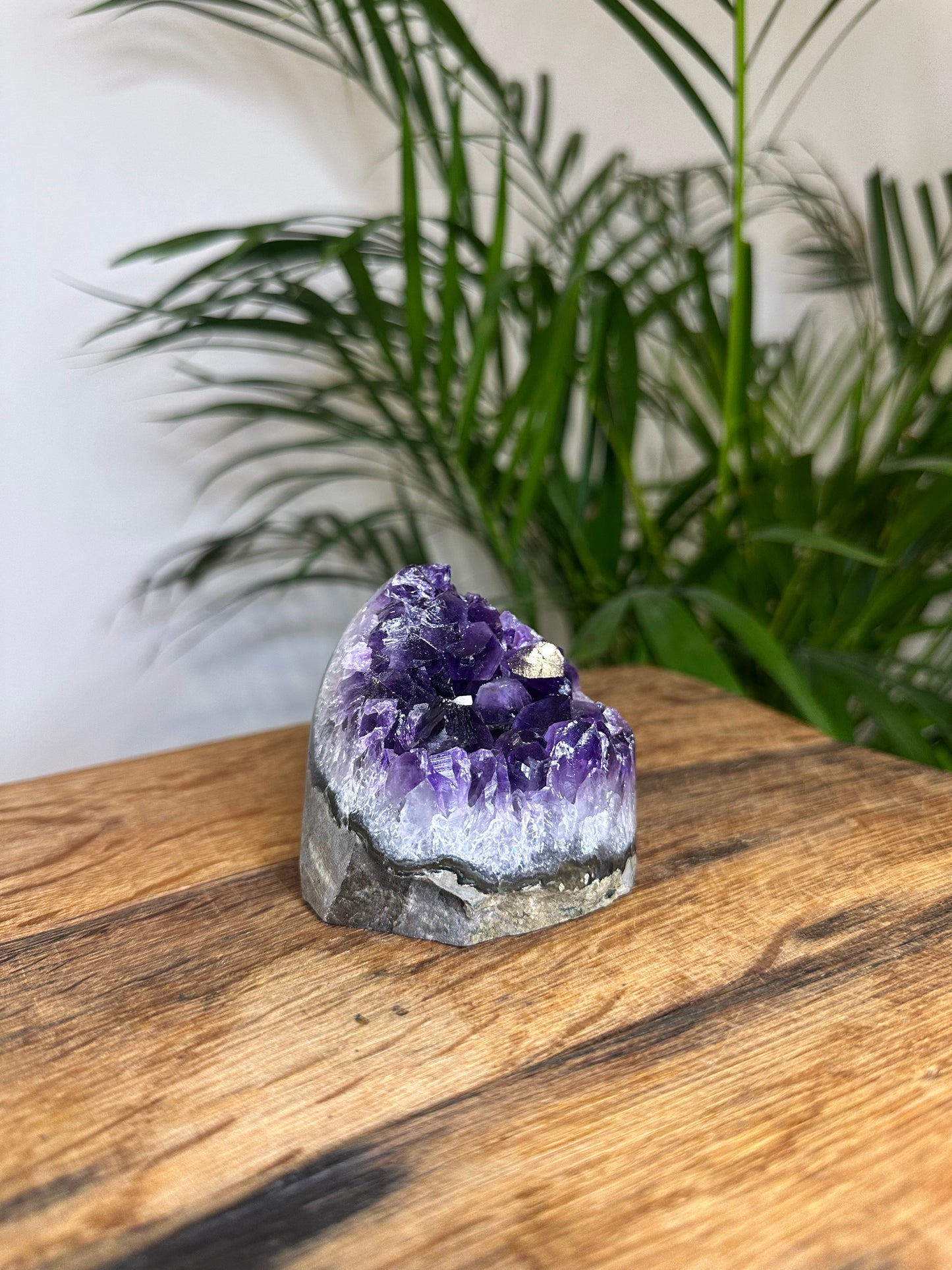 Amethyst Druse Brasilien