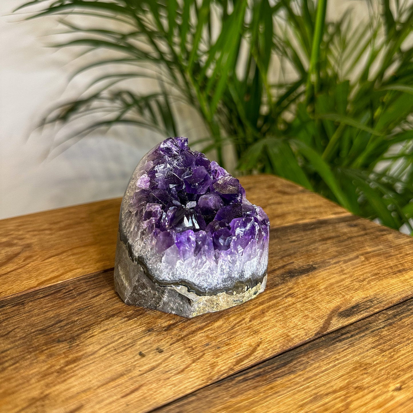 Amethyst Druse Brasilien