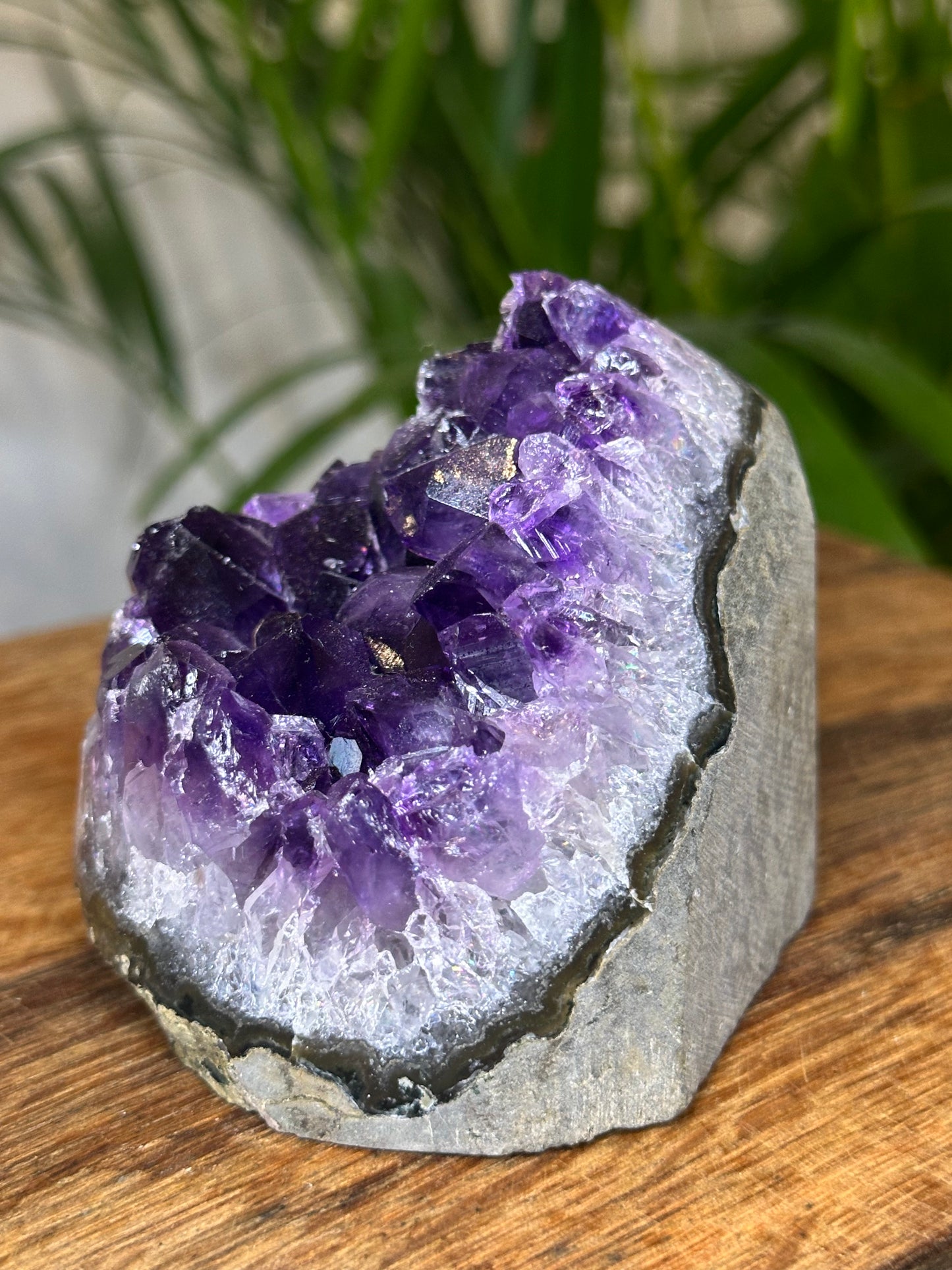 Amethyst Druse Brasilien