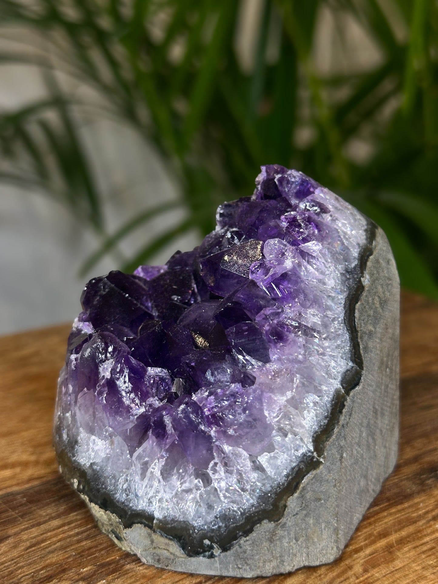 Amethyst Druse Brasilien